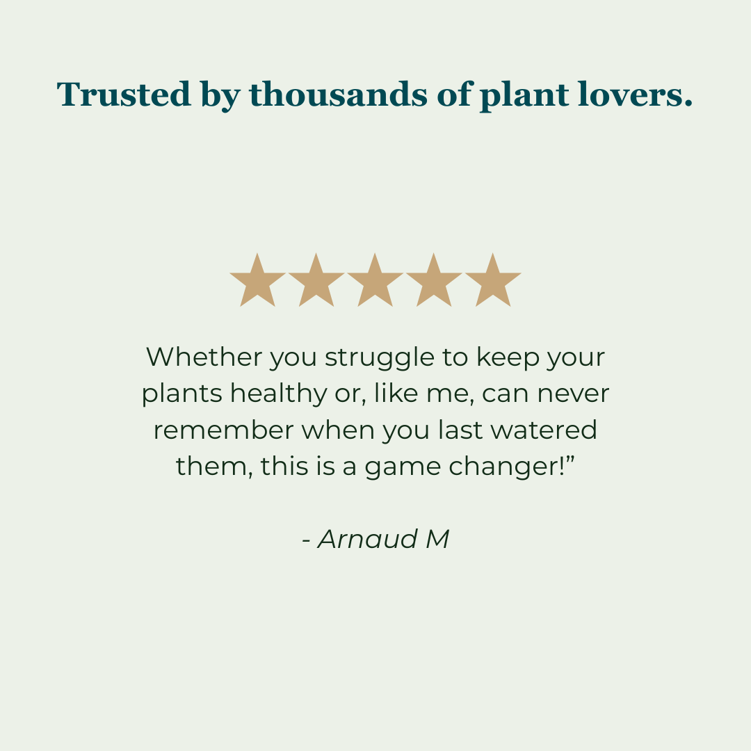 SmartyPlants Plant Monitor