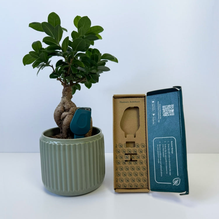 SmartyPlants Plant Monitor