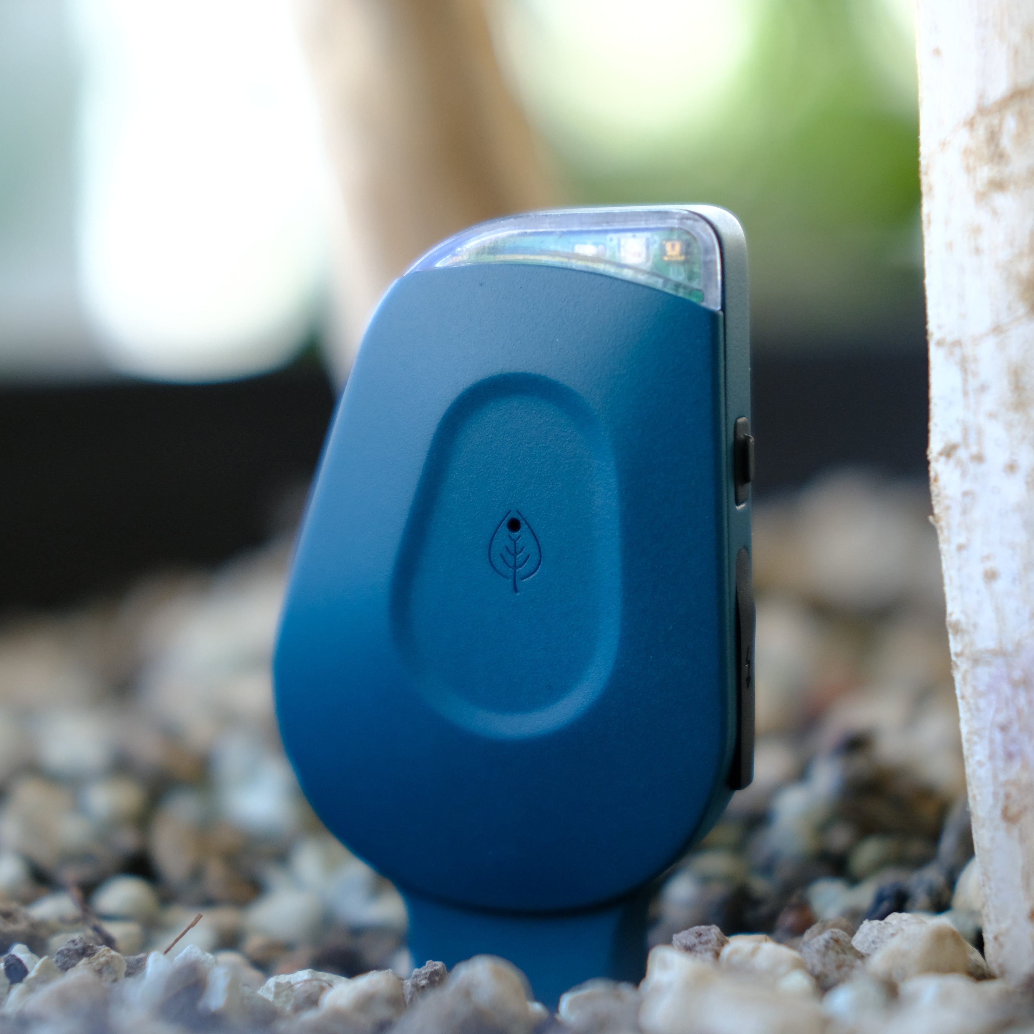 SmartyPlants Plant Monitor