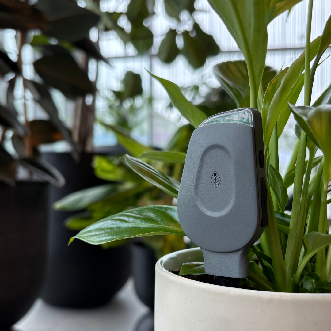 SmartyPlants Plant Monitor (Grey)