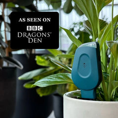 SmartyPlants Plant Monitor (Green)