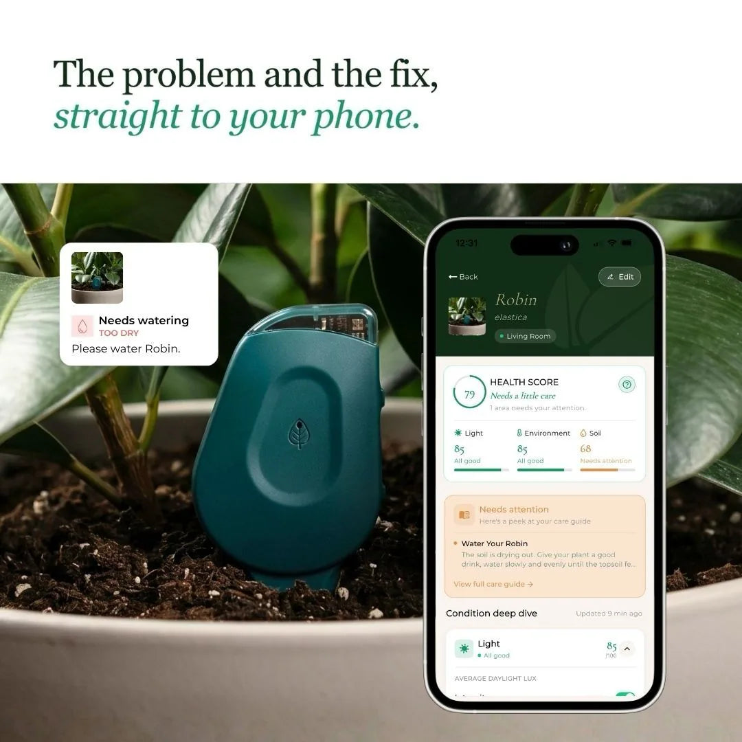 SmartyPlants Plant Monitor (Green)