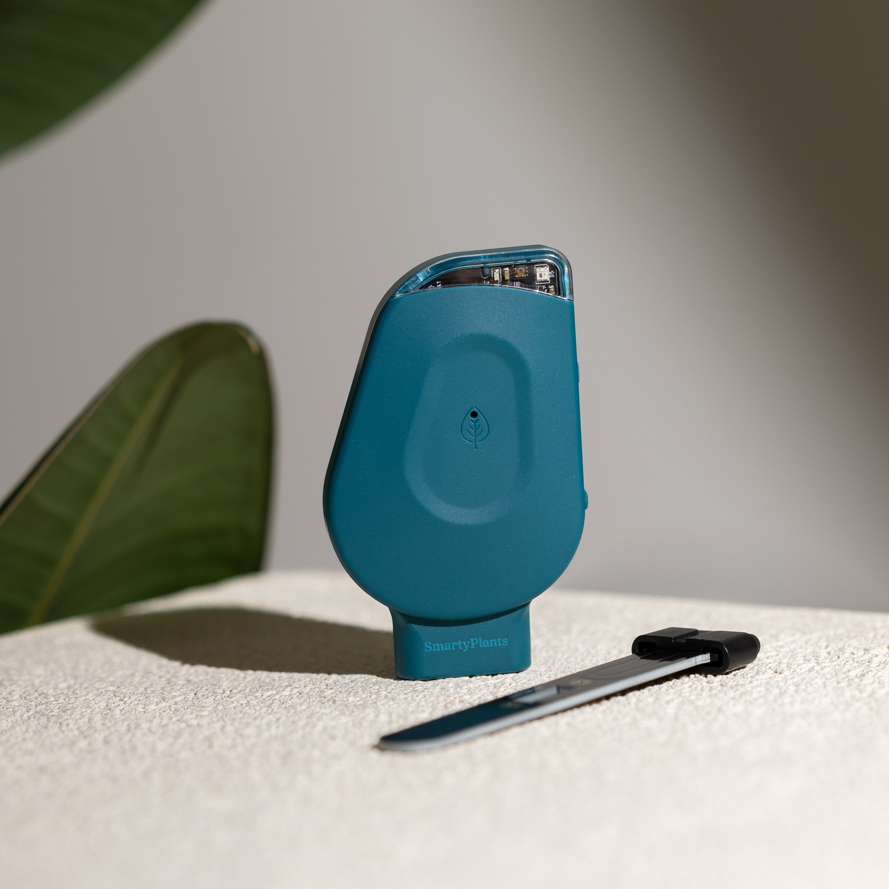 SmartyPlants Plant Monitor