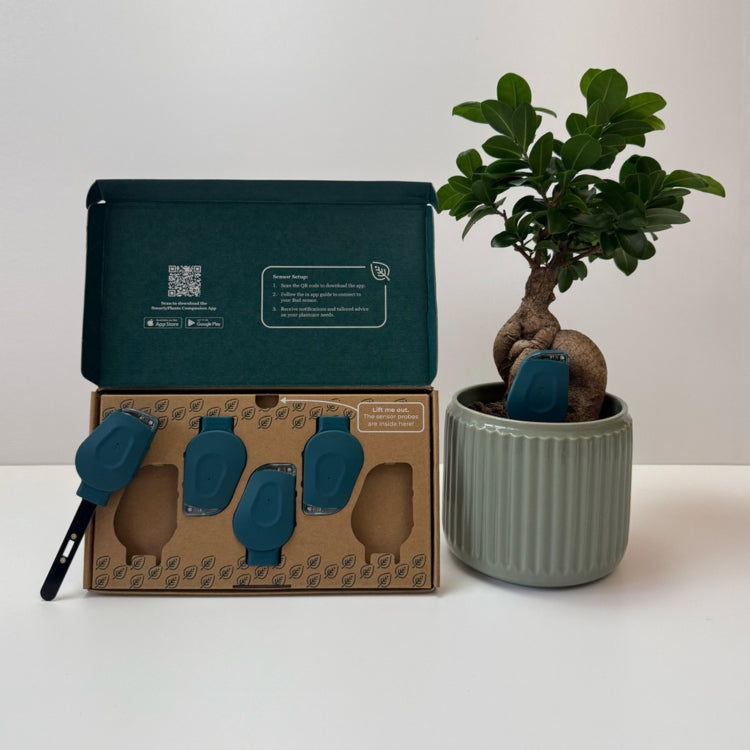 SmartyPlants Plant Monitor