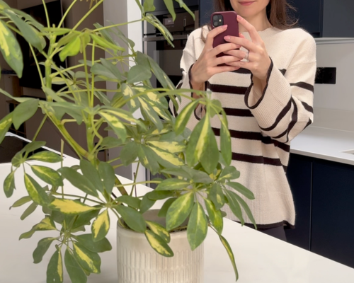 Step 1: Prep your plants