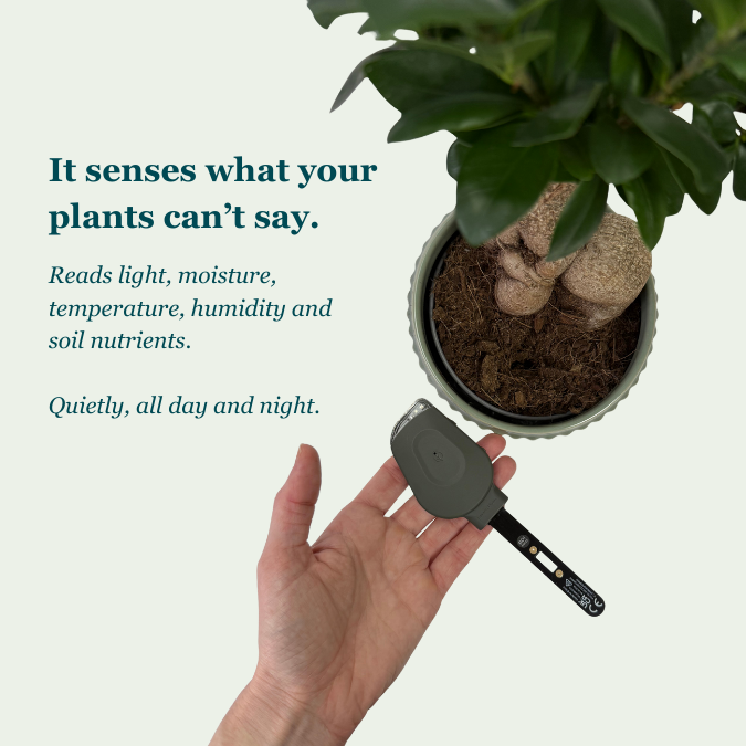 SmartyPlants Plant Monitor