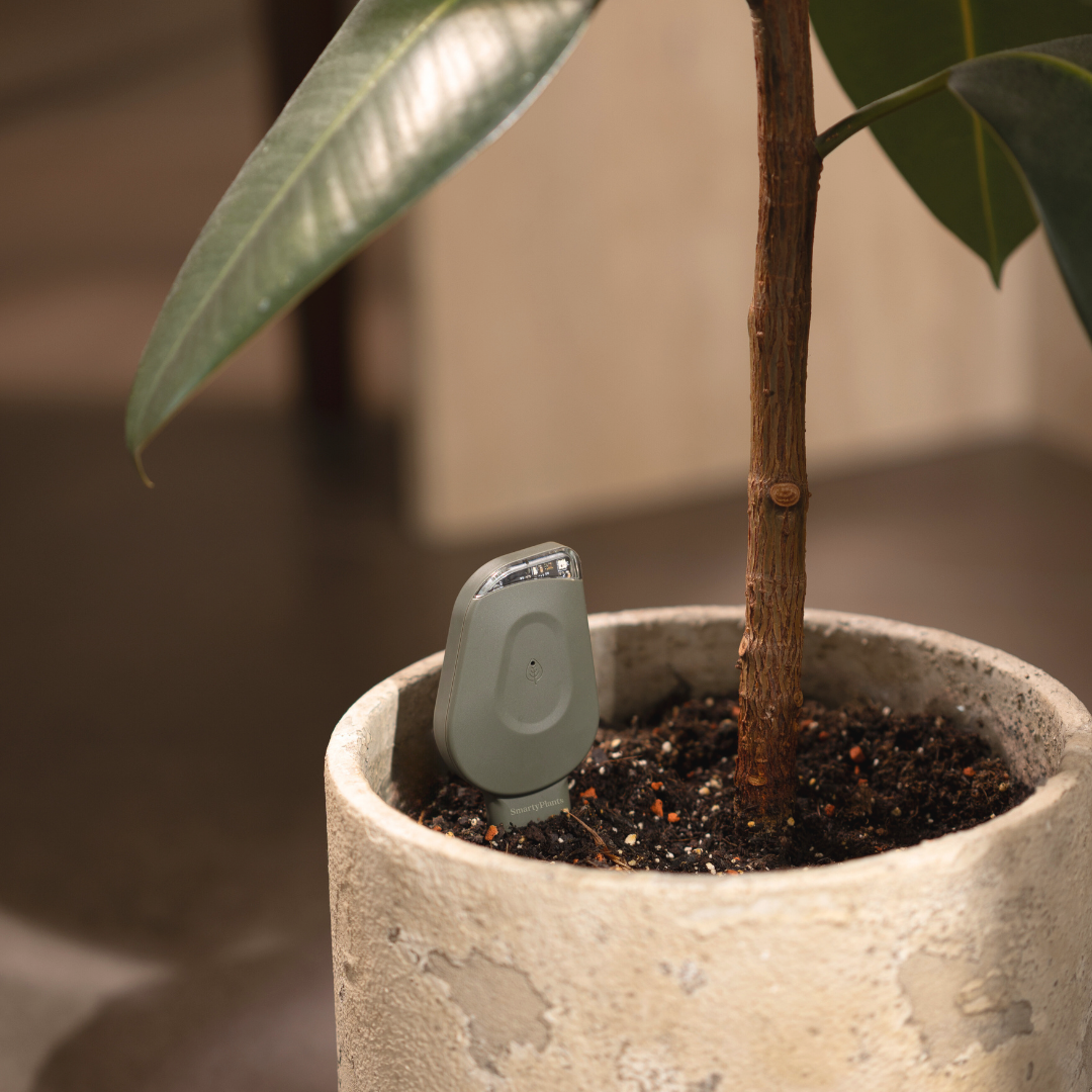 SmartyPlants Plant Monitor (Grey)