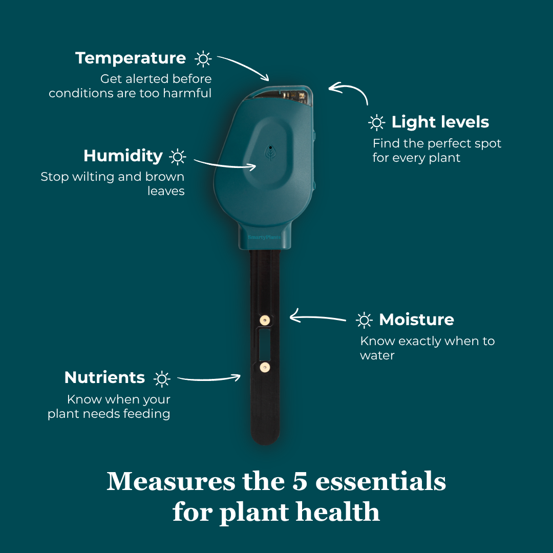 SmartyPlants Plant Monitor (Green)