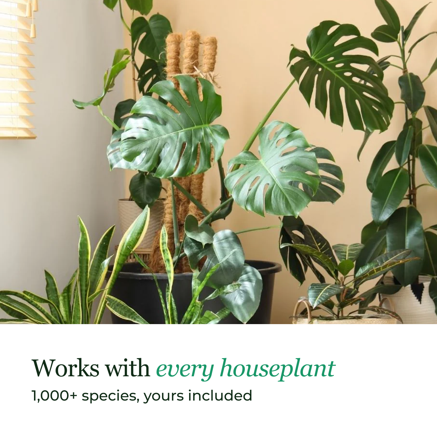 SmartyPlants Plant Monitor (Grey)